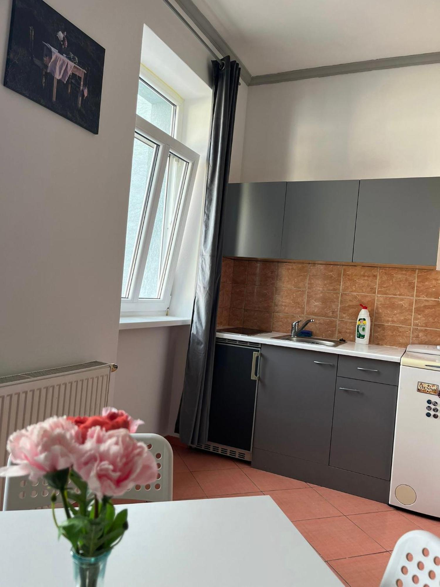 1St Plaza Apartment براتسيلافا المظهر الخارجي الصورة